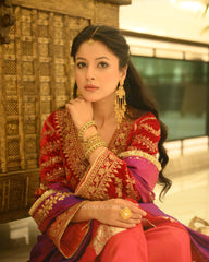 Shehnaaz gill in custom HK