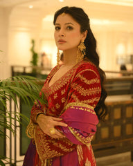 Shehnaaz gill in custom HK