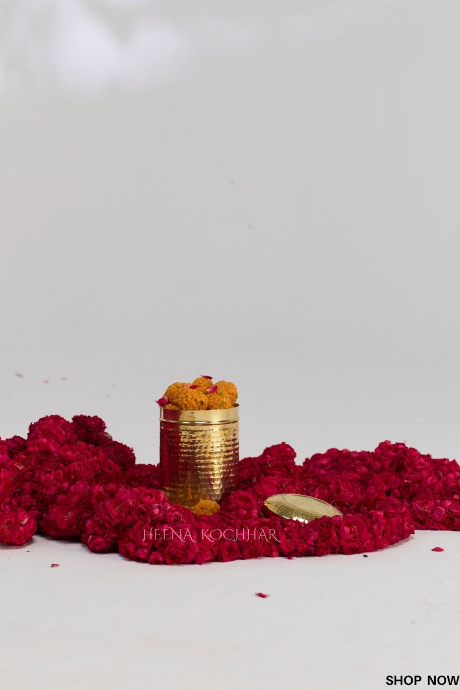 HeenaKochhar India